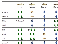 Saisonzeiten der einzelnen Fischarten